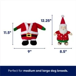 Frisco Holiday Santa On Vacation 2-in-1 Plush Squeaky Dog Toy -The Pet Haven Shop 739894 PT1. AC SS1800 V1695046874