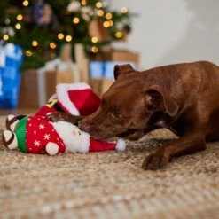 Frisco Holiday Santa On Vacation 2-in-1 Plush Squeaky Dog Toy -The Pet Haven Shop 739894 PT3. AC SS1800 V1695045718