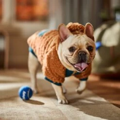 Frisco Wubby Textured Fleece Dog & Cat Hoodie W/ Pocket -The Pet Haven Shop 742510 PT7. AC SS1800 V1692377765