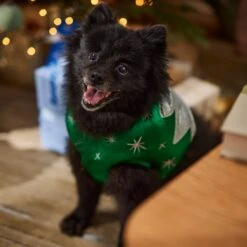 Frisco Ornament Dog & Cat Costume 16 Frisco Ornament Dog & Cat Costume -The Pet Haven Shop 745510 PT7. AC SS1800 V1694795535