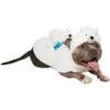Frisco Polar Bear Ride-On Dog Costume 2 Frisco Polar Bear Ride-On Dog Costume -The Pet Haven Shop 747046 MAIN. AC SS1800 V1694813783