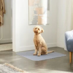 Skout's Honor Dog Pee Pad Refresher Spray, 28-oz Bottle & Frisco Washable Dog Potty Pads 19 Skout's Honor Dog Pee Pad Refresher Spray, 28-oz Bottle & Frisco Washable Dog Potty Pads -The Pet Haven Shop 772958 PT8. AC SS1800 V1676752183