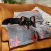 Frisco Plush Cat & Dog Throw Blanket -The Pet Haven Shop 816702 MAIN. AC SS1800 V1701117014