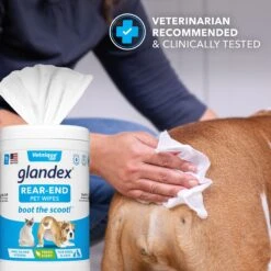 Vetnique Labs Glandex Wipes Rear End Anal Gland Cleansing & Deodorizing Hygienic Rear End Boot The Scoot Dog & Cat Wipes & Frisco Disposable Male Dog Wraps 15 Vetnique Labs Glandex Wipes Rear End Anal Gland Cleansing & Deodorizing Hygienic Rear End Boot The Scoot Dog & Cat Wipes & Frisco Disposable Male Dog Wraps -The Pet Haven Shop 826454 PT4. AC SS1800 V1682018155