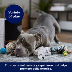 Frisco Forest Friends Plush, Rope & TPR Variety Pack Dog Toy 10 Frisco Forest Friends Plush, Rope & TPR Variety Pack Dog Toy -The Pet Haven Shop 843534 PT3. AC SS1800 V1693411070