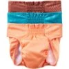 Frisco Washable Female Dog Diaper -The Pet Haven Shop 862830 MAIN. AC SS1800 V1698950173