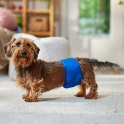 Frisco Washable Dog Diaper Male Wraps -The Pet Haven Shop 862854 PT3. AC SS1800 V1698950172