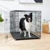 Frisco Fold & Carry Double Door Collapsible Wire Dog Crate -The Pet Haven Shop 88789 MAIN. AC SS1800 V1623171761
