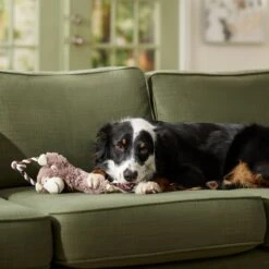 Frisco Monkey Plush With Rope Squeaky Dog Toy & Frisco Cow Plush With Inside Rope Squeaky Dog Toy 15 Frisco Monkey Plush With Rope Squeaky Dog Toy & Frisco Cow Plush With Inside Rope Squeaky Dog Toy -The Pet Haven Shop 961998 PT4. AC SS1800 V1694784009