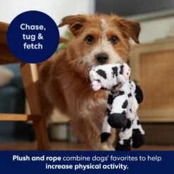 Frisco Monkey Plush With Rope Squeaky Dog Toy & Frisco Cow Plush With Inside Rope Squeaky Dog Toy 19 Frisco Monkey Plush With Rope Squeaky Dog Toy & Frisco Cow Plush With Inside Rope Squeaky Dog Toy -The Pet Haven Shop 961998 PT8. AC SS1800 V1694784008
