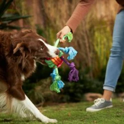 Frisco Fetch Colorful Ball Knot Rope Dog Toy & Frisco Monkey Plush With Rope Squeaky Dog Toy -The Pet Haven Shop 962014 PT2. AC SS1800 V1694784008