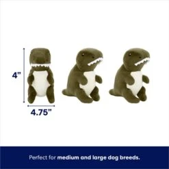 Frisco Volcano Hide & Seek Puzzle Plush Squeaky Dog Toy & Frisco Trash Can & Raccoons Hide & Seek Puzzle Plush Squeaky Dog Toy -The Pet Haven Shop 962054 PT3. AC SS1800 V1694783952