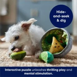 Frisco Trash Can & Raccoons Hide & Seek Puzzle Plush Squeaky Dog Toy & Frisco Guacamole Hide & Seek Puzzle Plush Squeaky Dog Toy -The Pet Haven Shop 962062 PT8. AC SS1800 V1694783037