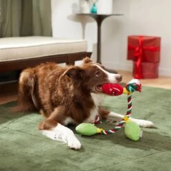 Frisco Holiday Reindeer Plush With Rope Squeaky Dog Toy & Frisco Holiday Lights Plush With Rope Squeaky Dog Toy -The Pet Haven Shop 986134 PT8. AC SS1800 V1698258405