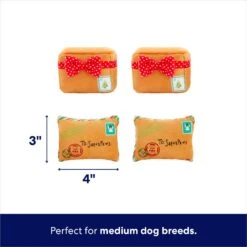 Frisco Holiday Hot Cocoa Hide & Seek Puzzle Plush Squeaky Dog Toy & Frisco Holiday North Pole Mailbox Hide & Seek Puzzle Plush Squeaky Dog Toy -The Pet Haven Shop 986166 PT7. AC SS1800 V1698258463