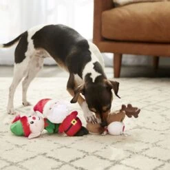 Frisco Holiday Santa's Helpers Plush Squeaky Dog Toy, 3 Count & Frisco Holiday Ho Ho Ho Fetch Squeaky Tennis Ball Dog Toy -The Pet Haven Shop 986214 PT4. AC SS1800 V1698257790
