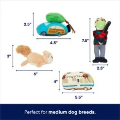 Frisco Holiday House Hide & Seek Puzzle Plush Squeaky Dog Toy & Frisco Holiday North Pole Mailbox Hide & Seek Puzzle Plush Squeaky Dog Toy -The Pet Haven Shop 986286 PT3. AC SS1800 V1698257799