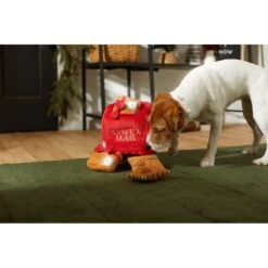 Frisco Holiday House Hide & Seek Puzzle Plush Squeaky Dog Toy & Frisco Holiday North Pole Mailbox Hide & Seek Puzzle Plush Squeaky Dog Toy -The Pet Haven Shop 986286 PT8. AC SS1800 V1698258055