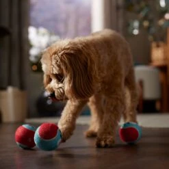 Frisco Holiday Ho Ho Ho Fetch Squeaky Tennis Ball Dog Toy & Frisco Holiday Arctic Friends Stuffing-Free Skinny Plush Squeaky Dog Toy -The Pet Haven Shop 986310 PT4. AC SS1800 V1698257790